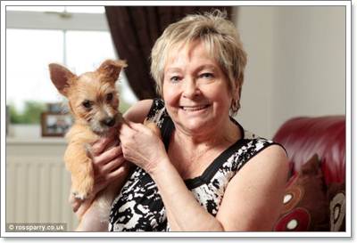 Dogilike.com :: شʺ! ١عѢԹҧҢͧ ѵᾷ觼ҵѴªԵ 