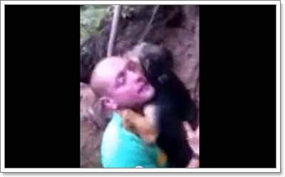 Dogilike.com :: ͺ! ٺʹеµԴçҹ 2 ѹ