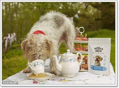Dogilike.com :: ! ռԵعآҾѺعѢ 