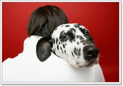 Dogilike.com :: ͧҾѹ˭Ѻ㹡§