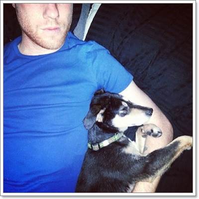 Dogilike.com :: зѺ! 㨴Ѻ§عѢ١ҹ 4 