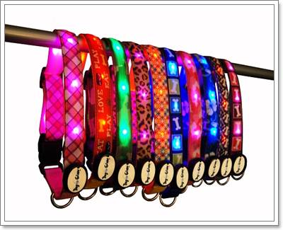 Dogilike.com :: ù!  Dog-E-Glow ͡ LED شѺعѢ