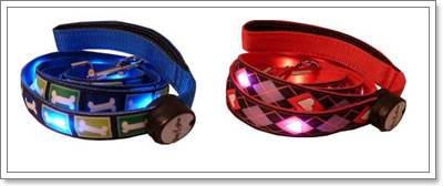 Dogilike.com :: ù!  Dog-E-Glow ͡ LED شѺعѢ