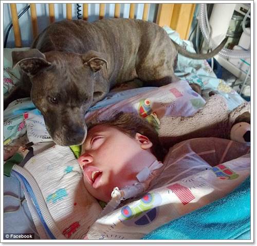 Dogilike.com :: ش! Tascha عѢѡռ硪»