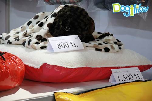 Dogilike.com :: ҷҹ Thailand International Dog Show 2013 # 2
