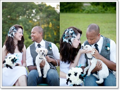 Dogilike.com :: Ҿѡ Dog in wedding