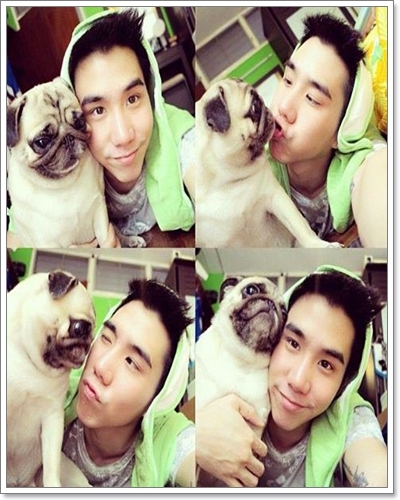 Dogilike.com :: ����Ҿ��ͧ��һ�ꡡѺ�������ź