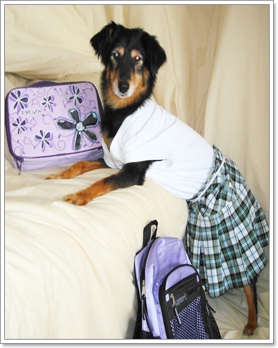 Dogilike.com :: �ش��!! !�ش�ѡ���¹�ͧ��ͧ���