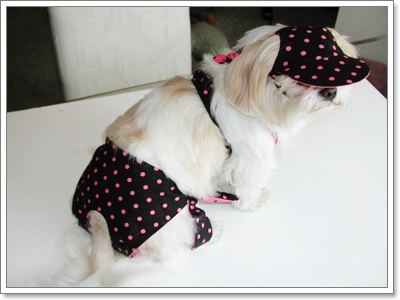 Dogilike.com :: Ὺ�蹪ش���¹���ش Hot