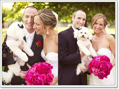 Dogilike.com :: Ҿѡ Dog in wedding