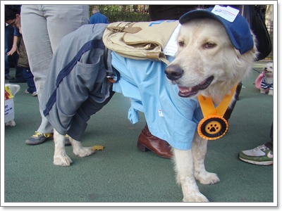 Dogilike.com :: �ش��!! !�ش�ѡ���¹�ͧ��ͧ���