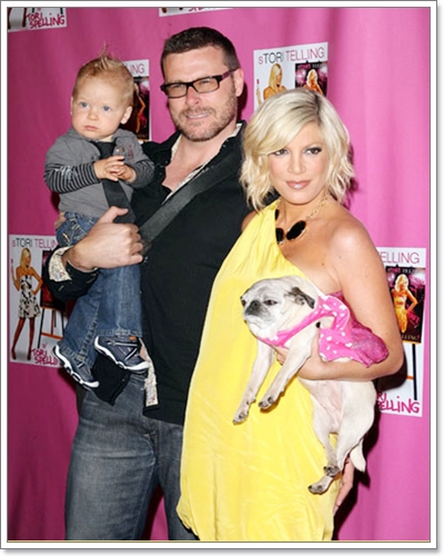 Dogilike.com :: ����Ҿ��ͧ��һ�ꡡѺ�������ź