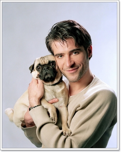 Dogilike.com :: ����Ҿ��ͧ��һ�ꡡѺ�������ź