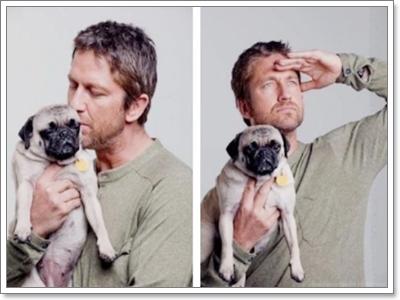 Dogilike.com :: ����Ҿ��ͧ��һ�ꡡѺ�������ź