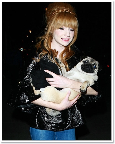 Dogilike.com :: ����Ҿ��ͧ��һ�ꡡѺ�������ź