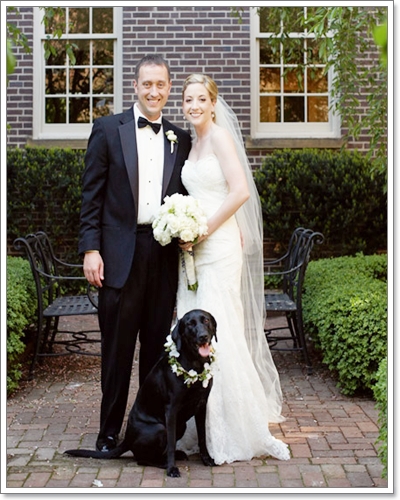 Dogilike.com :: Ҿѡ Dog in wedding