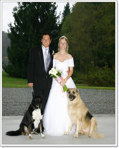 Dogilike.com :: Ҿѡ Dog in wedding