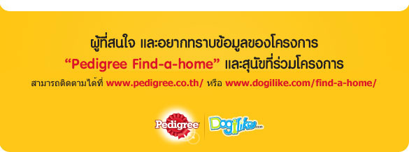 ྴԡ, pedigree, find a home, çҺҹعѢѺྴԡ, ҺҹعѢ, ػ عѢ, عѢ, عѢ آҾ, Һҹ, ʶҹѺ§عѢèѴ