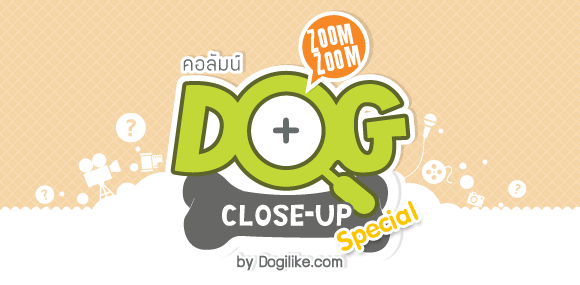 ¡͹Ź, ٻẺ, ͹Ź, dog close up zoom zoom, ѵᾷ, Ǫҭ, Live Chat, ͺ, ѭ, ͵, ١عѢ, puppy club, ྴԡ , pedigree