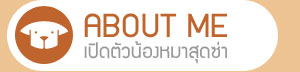นัองหมา, สุนัข,เชสเตอร์, น่ารัก, ไซบีเรียน ฮัสกี้,การดูแล,เทคนิคการเลี้ยงดู, dog of the week 102