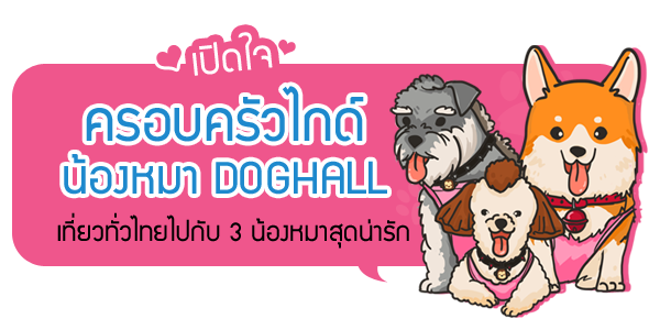 Dogilike.com :: ɳ ͺ䡴ͧ DOGHALL