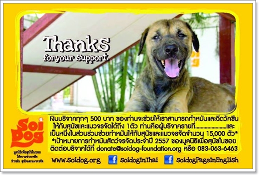 Dogilike.com :: Dogilike Share for Dogs 觵ͤѡعѢҡ
