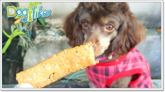 Dogilike.com :: Review : Doggie n Cookie ʿѡͧ຤͹