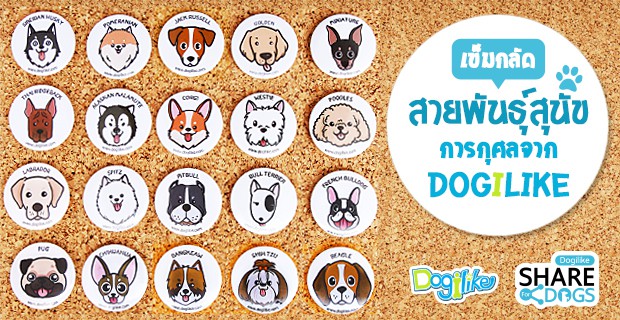 Dogilike.com :: Dogilike Share for Dogs 觵ͤѡعѢҡ
