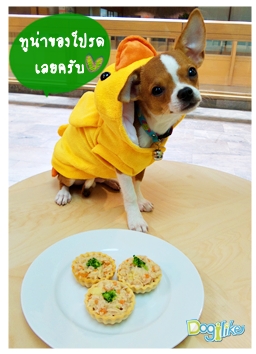 Dogilike.com :: 쵷ٹԵ