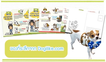 Dogilike.com :: ͡͡ѹ¹