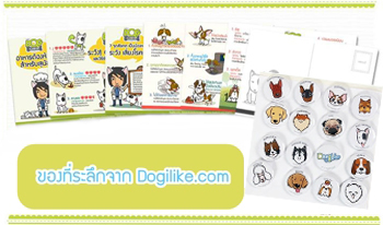 Dogilike.com :: Ǵ袹