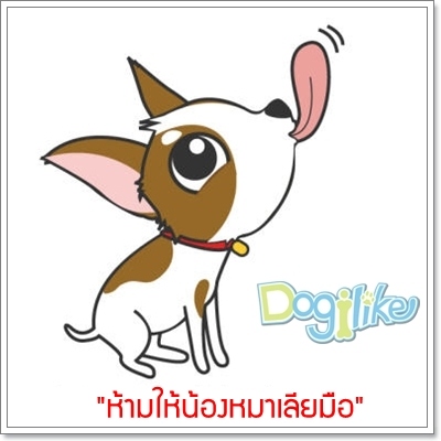 Dogilike.com :: ͹! ͫҵСҡѺѭҷͧѧ