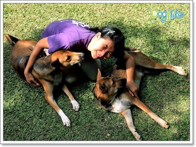 Dogilike.com :: 20 พฤติกรรมน้องหมาที่กำลังบอกว่า...รักคุณ (มากที่สุด) !