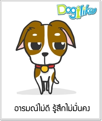 Dogilike.com :: ҡ ͧҔ Ѻ ͧǔ õҧѹҧ