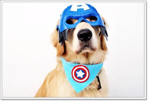 Dogilike.com :: ! Japan ҵٺ ͧ¢ѭ㨷š