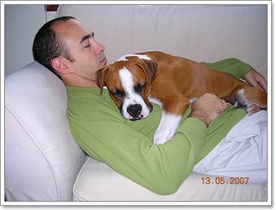 Dogilike.com :: 18 Ҿ駨Ѻ ʹͺ蹢ͧҢͧѺعѢʹѡ!