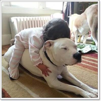 Dogilike.com :: 18 Ҿ駨Ѻ ʹͺ蹢ͧҢͧѺعѢʹѡ!