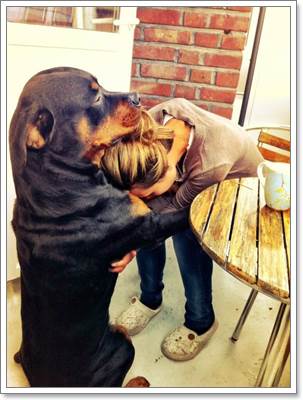 Dogilike.com :: 18 Ҿ駨Ѻ ʹͺ蹢ͧҢͧѺعѢʹѡ!