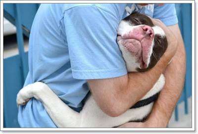 Dogilike.com :: 18 Ҿ駨Ѻ ʹͺ蹢ͧҢͧѺعѢʹѡ!