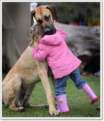 Dogilike.com :: 18 Ҿ駨Ѻ ʹͺ蹢ͧҢͧѺعѢʹѡ!