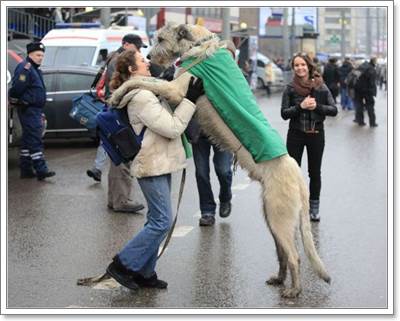 Dogilike.com :: 18 Ҿ駨Ѻ ʹͺ蹢ͧҢͧѺعѢʹѡ!
