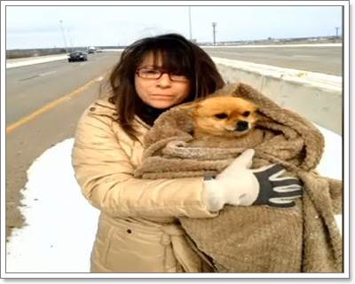 Dogilike.com :: ʹ! ˭ԧ㨴ժعѢ١駺ҧǹѰ