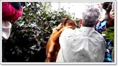 Dogilike.com :: ʹ! عѢèѴӷҧ仪ªԵ١  㹻