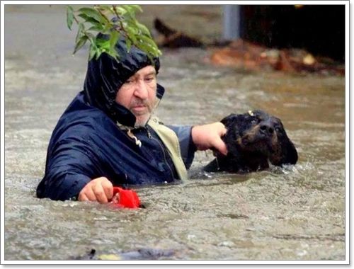 Dogilike.com :: ѡѵªԵعѢ ѧӷ˹ѡͺ 120 