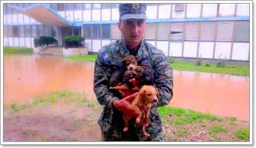 Dogilike.com :: ѡѵªԵعѢ ѧӷ˹ѡͺ 120 