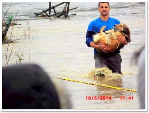 Dogilike.com :: ѡѵªԵعѢ ѧӷ˹ѡͺ 120 