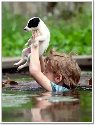 Dogilike.com :: ѡѵªԵعѢ ѧӷ˹ѡͺ 120 