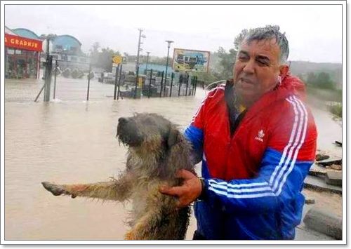 Dogilike.com :: ѡѵªԵعѢ ѧӷ˹ѡͺ 120 