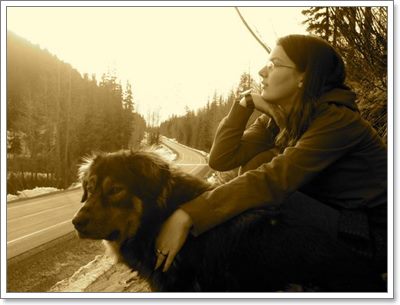 Dogilike.com :: ! عѢ 16  »ͧҢͧҡһҨǵ
