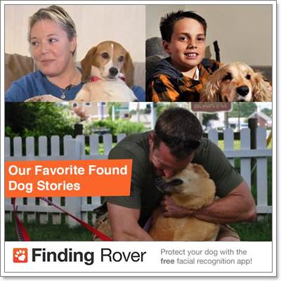 Dogilike.com :: Finding Rover ;पش µعѢ!